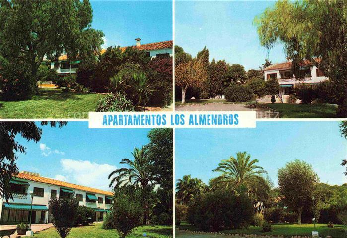 Paguera Peguera Calvia Mallorca ES Apartamentos Los Almendros Details