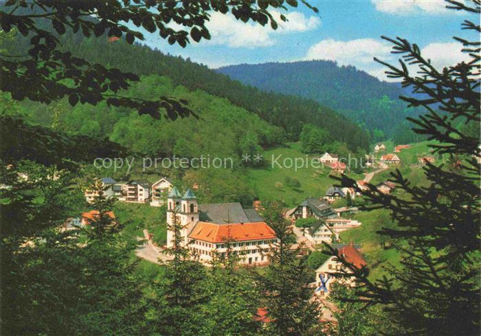 BAD RIPPOLDSAU-SCHAPBACH Panorama