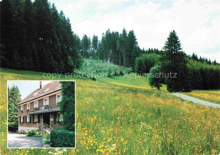 Falkau Altglashuetten Feldberg BW Sporthotel Falkau Panorama