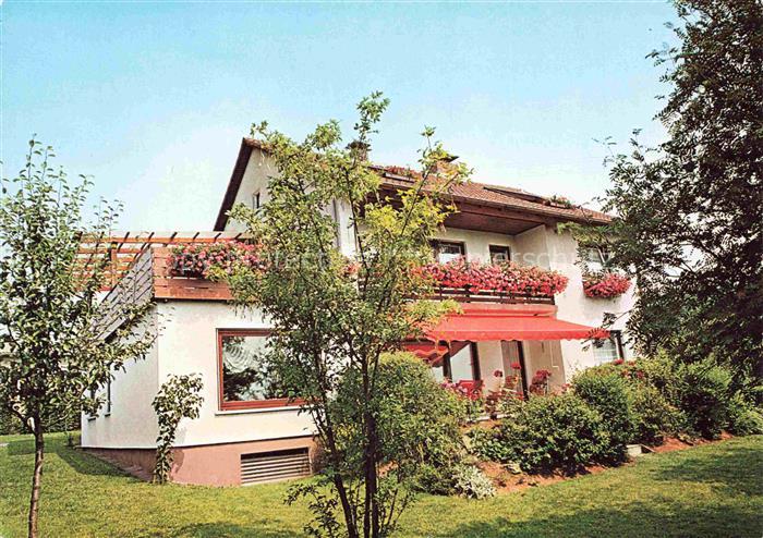 Waldfenster Haus Metz