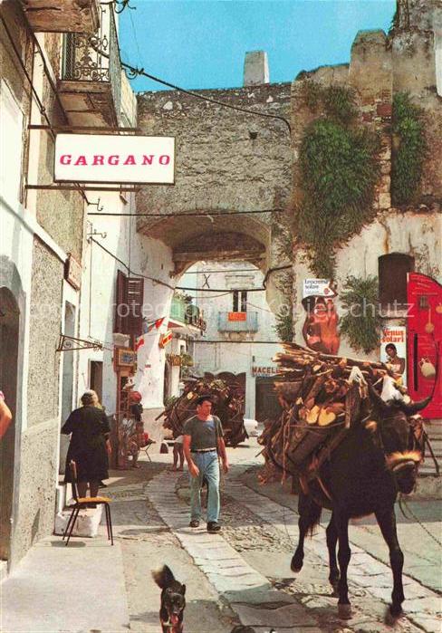 Peschici Gargano IT Stradina pittoresca