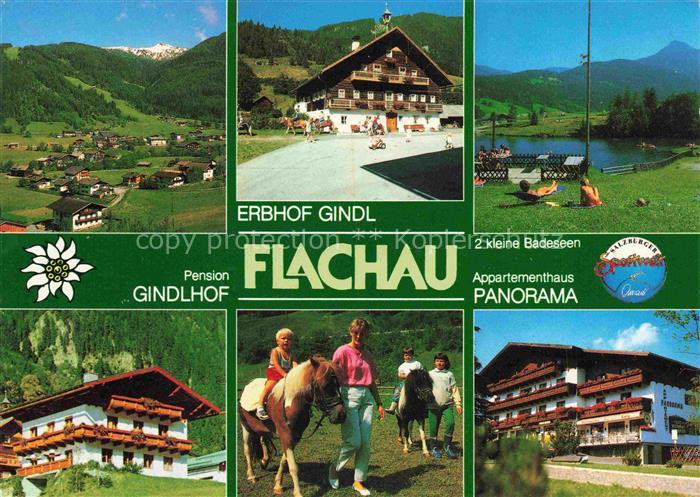 Flachau AT Pension Gindlhof Appartement Panorama Erbhof Gindel Ponyreiten Badese