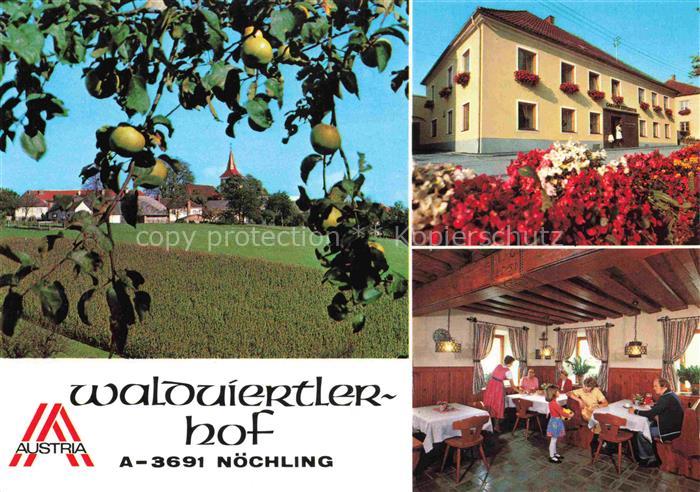 Noechling Niederoesterreich AT Gasthof Waldviertler Hof Gaststube