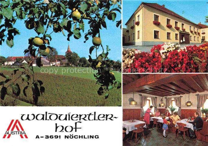 Noechling Niederoesterreich AT Gasthof Waldviertlerhof Gastraum