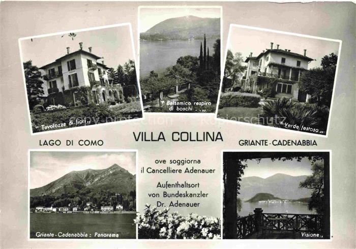 Griante Cadenabbia Lago di Como Tevolozze di fiori Balsamico respiro di boschi V