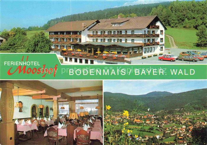 Bodenmais Regen Bayern Ferienhotel Mooshof Gastraum Panorama