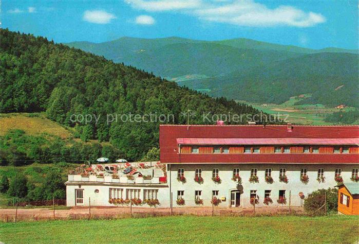 Langfurth Schoefweg Bayerischer Wald Bayern Sonnenwald Pension Gasthof Ranzinger