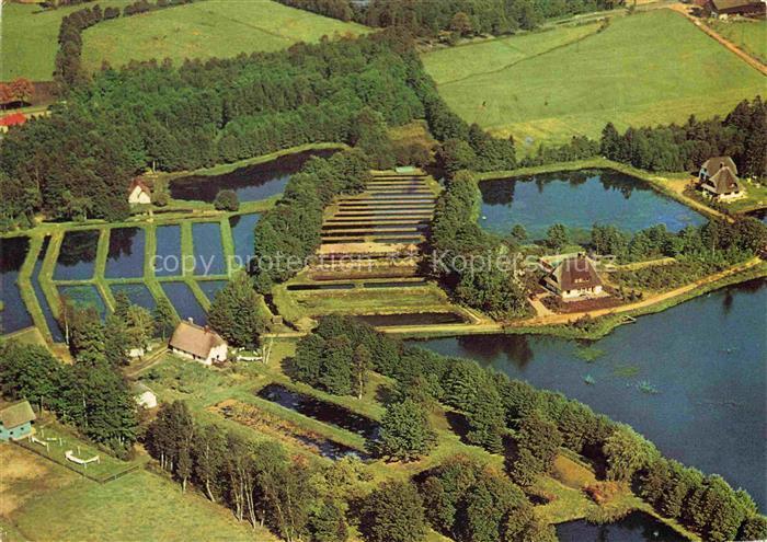 Soltau Soltau-Fallingbostel Niedersachsen Forellenzucht Spiekerhof Fliegeraufnah