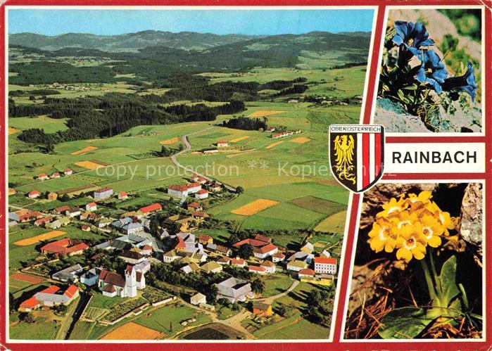 Rainbach Muehlkreis Oberoesterreich AT Fliegeraufnahme Alpenflora