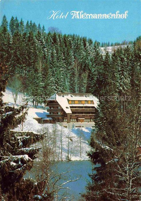 Hinterzarten Breisgau-Hochschwarzwald BW Hotel Alemannenhof Winterlandschaft Sch