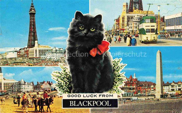 BLACKPOOL  UK The Town Promenade Beach Cenotaph Strassenbahn