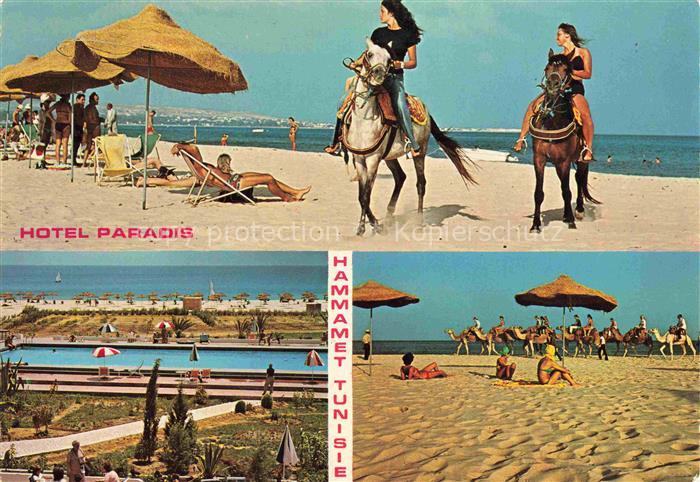 Hammamet Tunesie Hotel Paradis Strand Pferde Pool