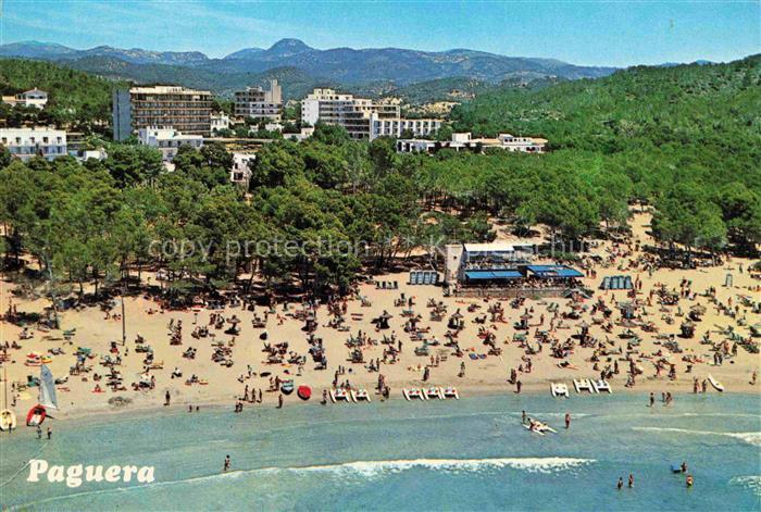 Paguera Peguera Calvia Mallorca ES Playa de Tora Vista aerea Strand Luftbild