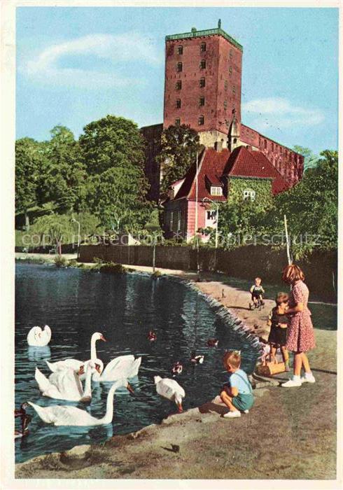 Kolding DK Koldinghus Schwan See