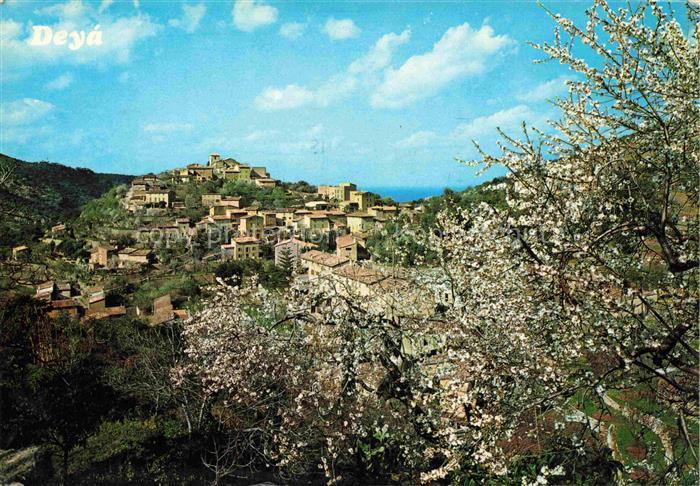 Deya Mallorca ES Almendros en flor