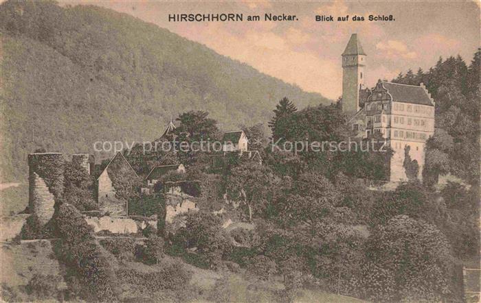 Hirschhorn Neckar Hessen Schloss Panorama
