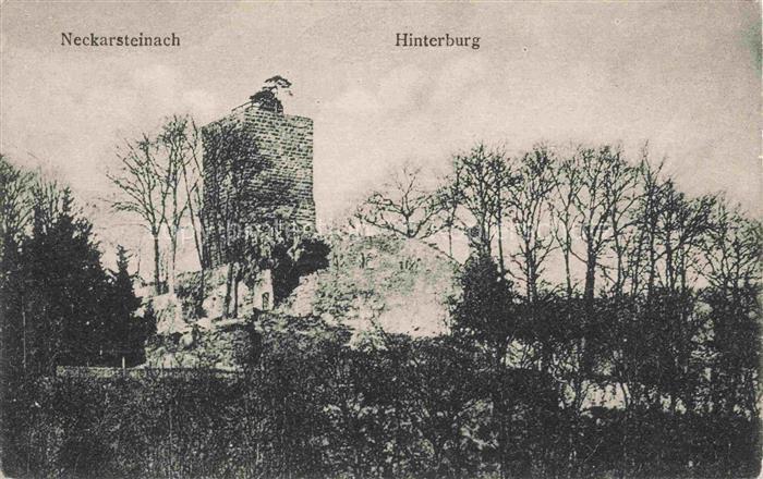 Neckarsteinach Hinterburg