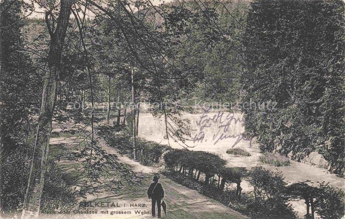 Selketal Harz Sachsen-Anhalt Alexisbader Chaussee mit grossem Wehr