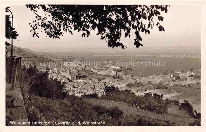 St Martin Weinstrasse Pfalz Panorama