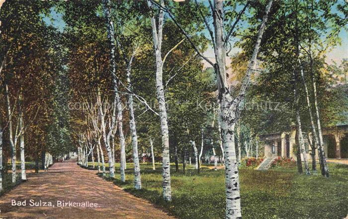 Bad Sulza Thueringen Birkenallee