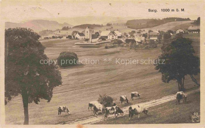 Saig Schwarzwald Panorama