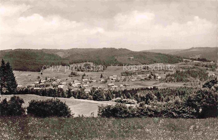 Haeusern Schwarzwald BW Panorama