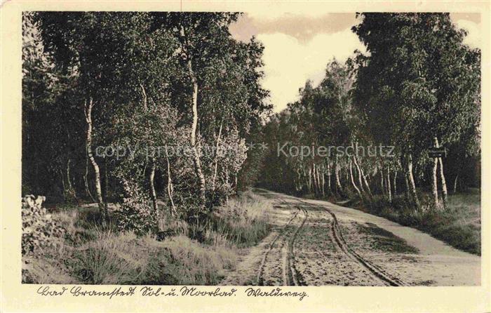 Bad Bramstedt Schleswig-Holstein Sol und Moorbad Waldweg