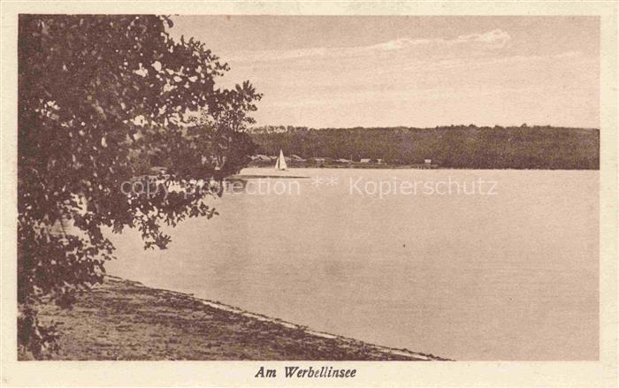 Werbellinsee-Altenhof Schorfheide Barnim Brandenburg Panorama