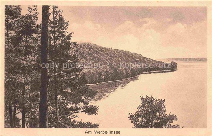 Werbellinsee-Altenhof Schorfheide Barnim Brandenburg Panorama