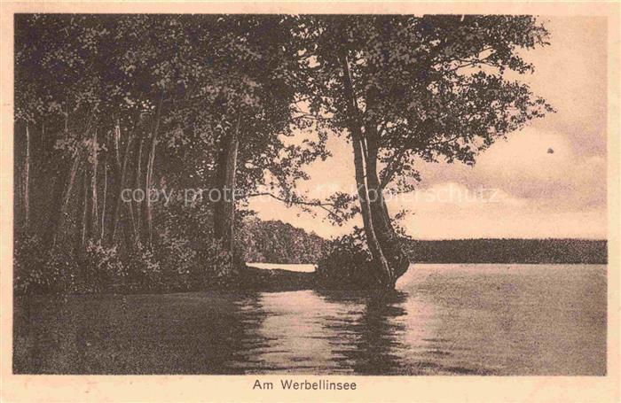 Werbellinsee-Altenhof Schorfheide Barnim Brandenburg Panorama