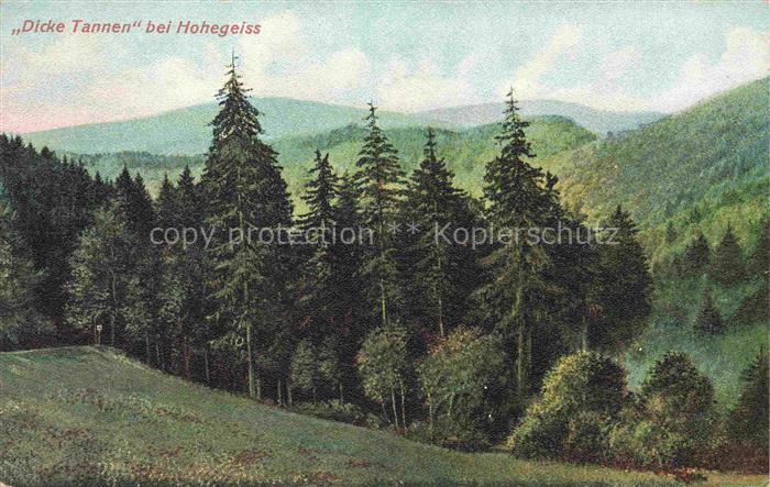 Hohegeiss Braunlage Harz Niedersachsen Dicke Tannen