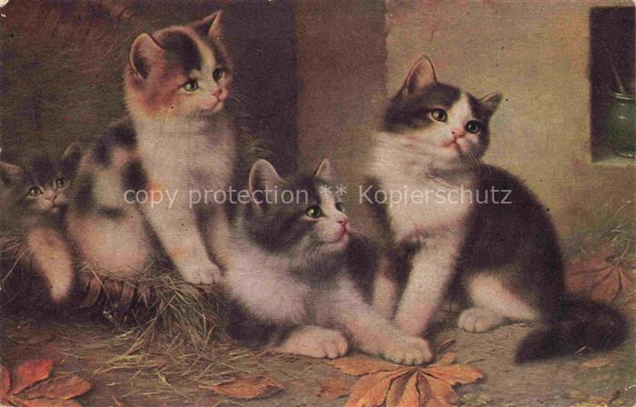 KATZEN Cats Chats Gatos Gatti--