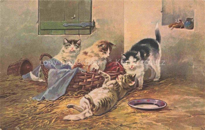 KATZEN Cats Chats Gatos Gatti-- Spielen