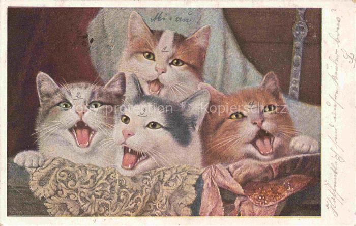 KATZEN Cats Chats Gatos Gatti-- Weis