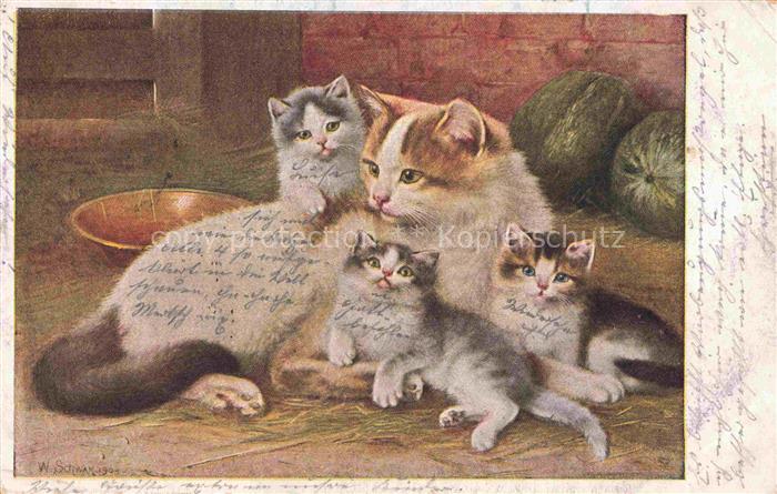 KATZEN Cats Chats Gatos Gatti-- Babys Mutter