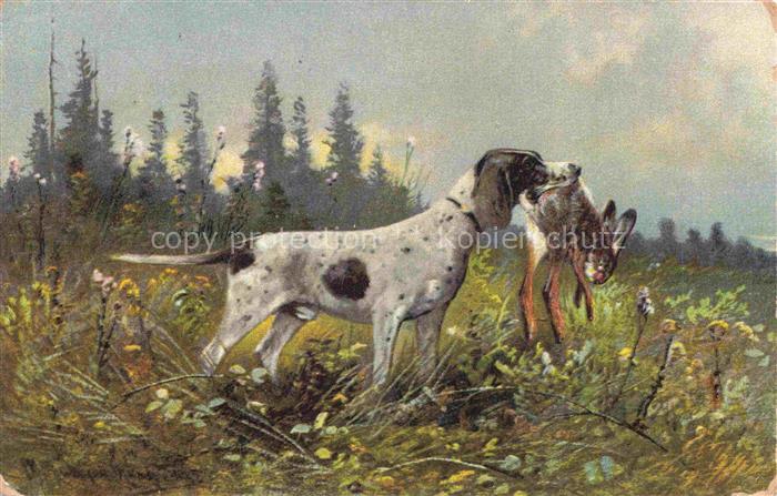 Jagd Chasse Hunting Hund Hase