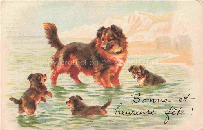 HUNDE dogs chiens-- Welpen Baden