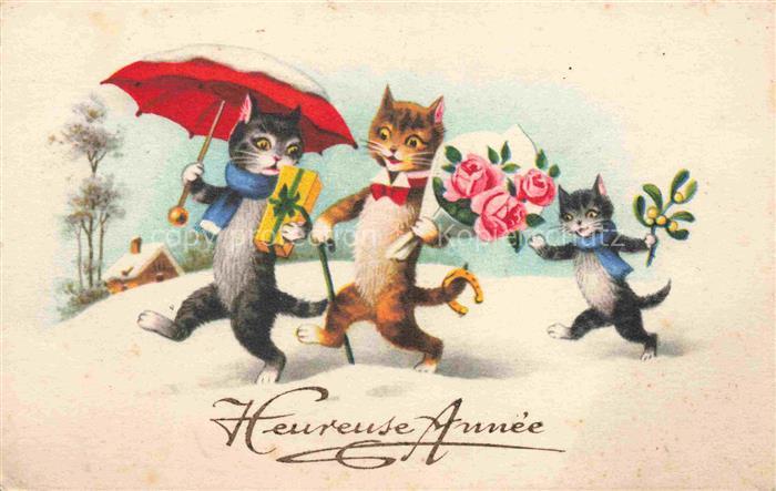 Vermenschlicht Humanises-- Katzen Rosen