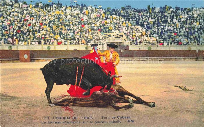 Stierkampf Corrida de Toros Bullfight-- Toro de Cabeza
