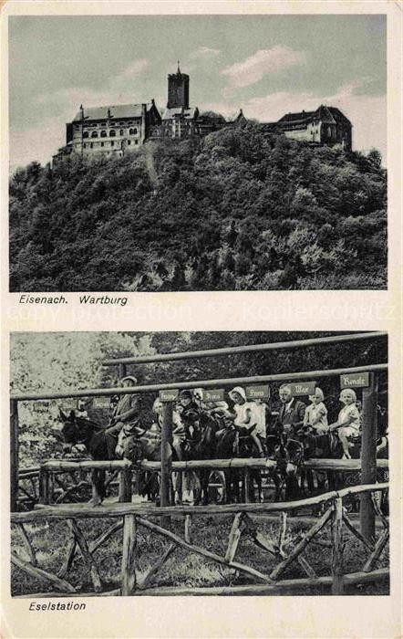 Esel Tiere Eisenach Wartburg Eselstation