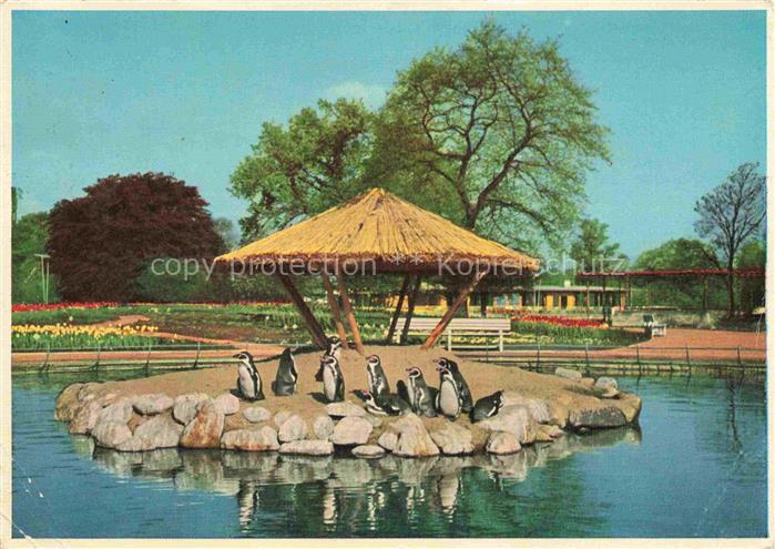 Gartenschau Landesgartenschau LAGA Hamburg Pinguinen Teich