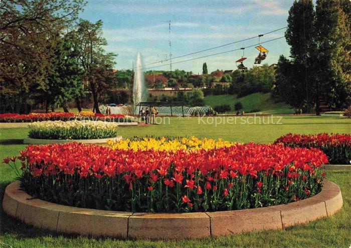 BUGA Bundesgartenschau Stuttgart Blumenrondelle Wasserspiele