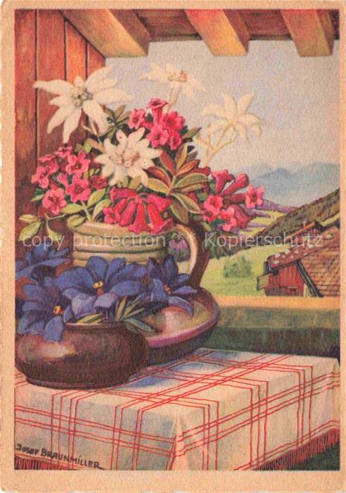BRAUNMILLER Josef Kuenstlerkarte Alpenblumen