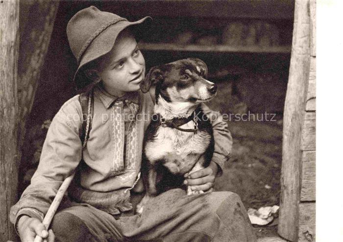 Dackel Dachshund Teckel Hunde dogs Chiens Cani Blaukreuz Jugendwerk