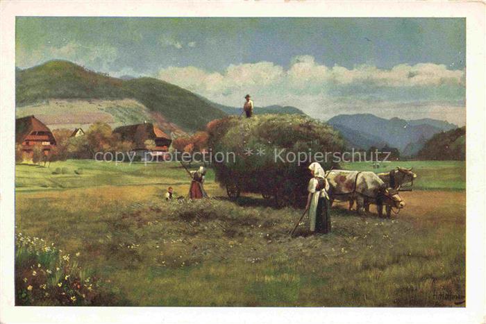 HOFFMANN  Heinrich Kuenstlerkarte Heuernte im Schwarzwald
