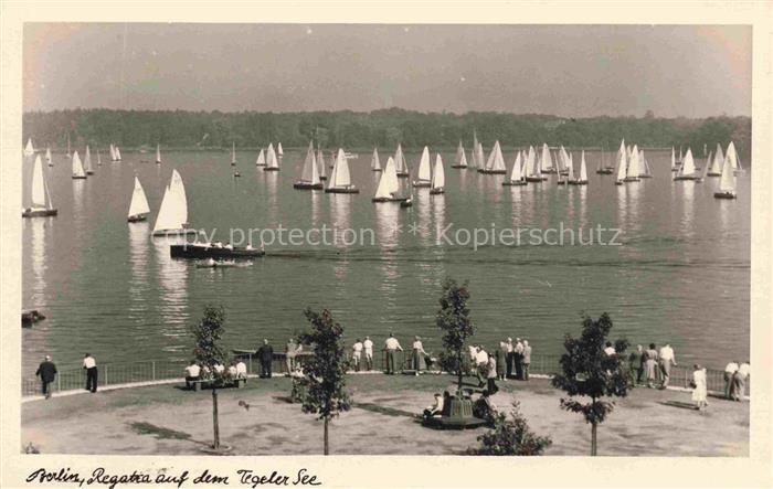 BERLIN  CITY Regatta auf dem Tegeler See