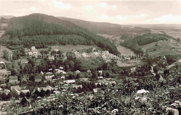 Bad Lauterberg Harz Blick zum Kirchberg