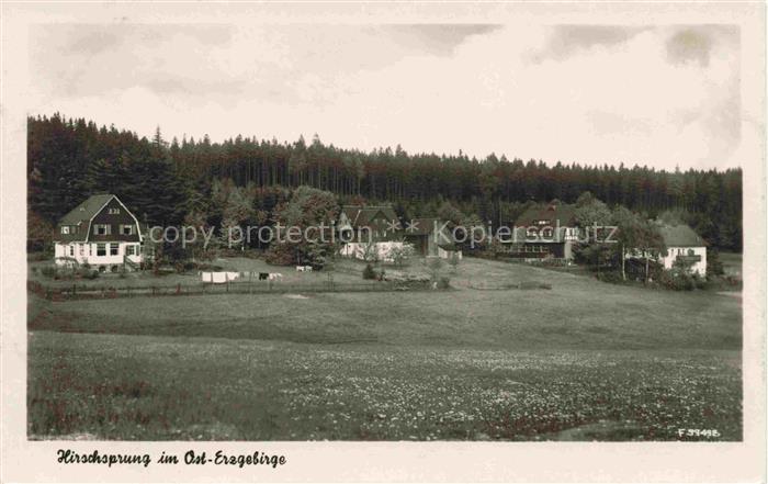 Hirschsprung Altenberg Osterzgebirge Sachsen Panorama