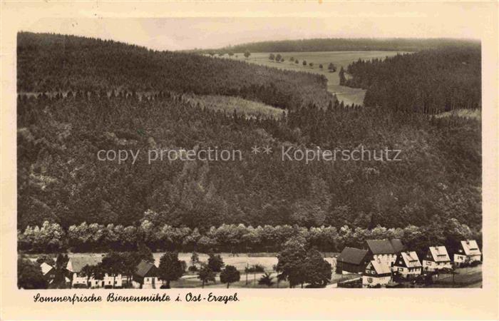 Bienenmuehle Rechenberg Osterzgebirge Panorama