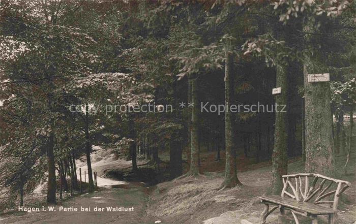 HAGEN  Westfalen NRW Partie bei der Waldlust